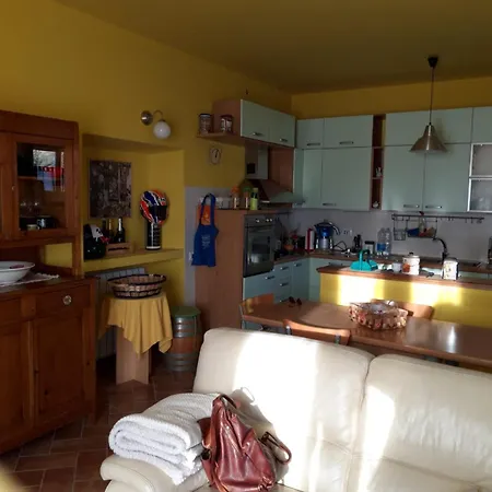 La Cicala *