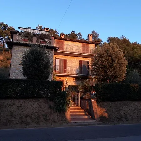 La Cicala